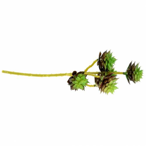 kohteita Mehevä poiminta vihreä / ruskea 35,5 cm