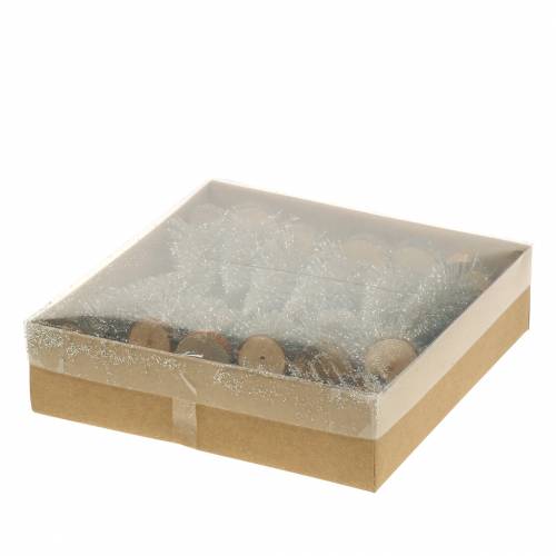 Floristik24 Koristeellinen joulukuusen samppanja glitter 8cm 24 kpl