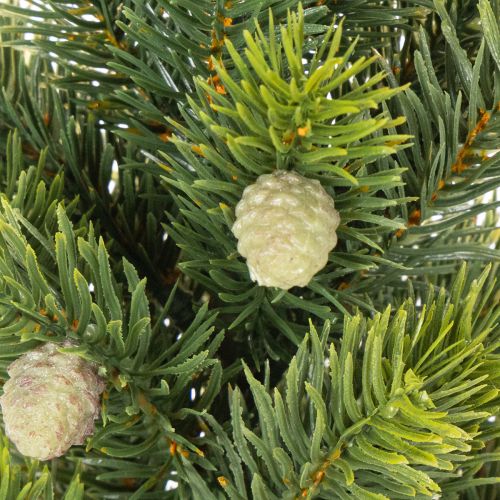 Tekokuusi juuttisäkissä, pieni pöytäkoriste, minijoulukuusi, 38 cm | Floristik24.fi