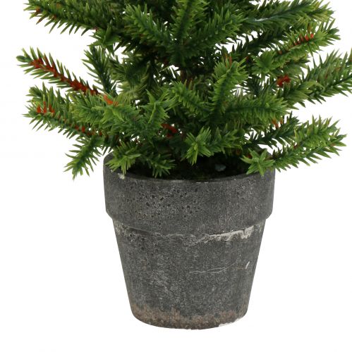 Floristik24 Kuusi ruukussa vihreä 23cm