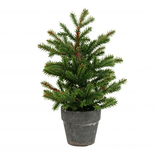 Floristik24 Kuusi ruukussa vihreä 23cm