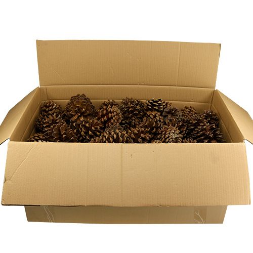 Floristik24 Käpyseos iso 14kg