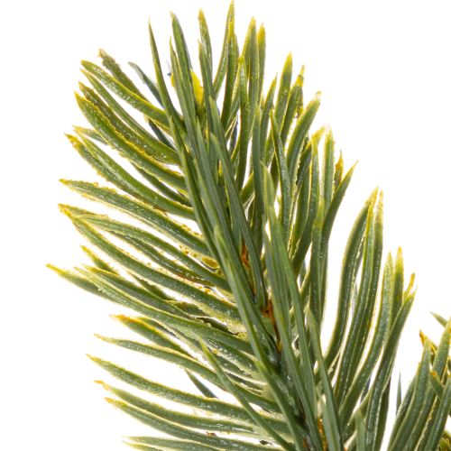 Keinotekoinen vihreä kuusenoksa talvikoristeisiin, 25 cm, 24 kpl | Floristik24.fi