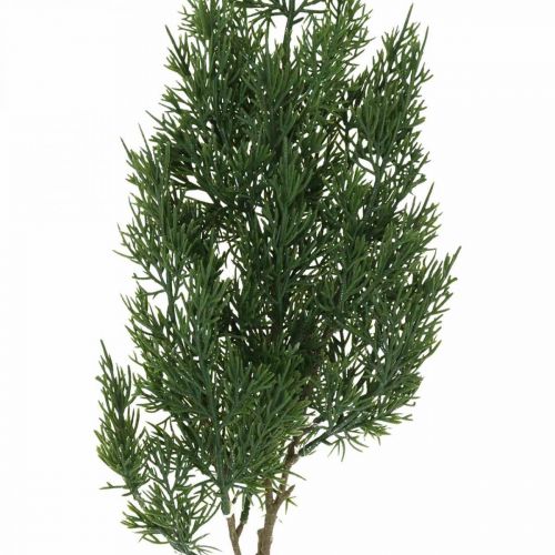 Floristik24 Koristeoksa Thuja Keinotekoinen sypressin oksa Jouluvihreä 81cm