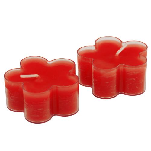 Floristik24 Blossom Light Ruby 12 kpl