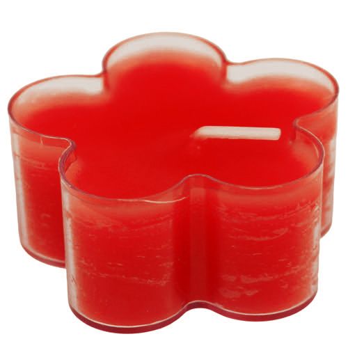 Floristik24 Blossom Light Ruby 12 kpl