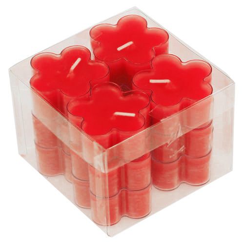 Floristik24 Blossom Light Ruby 12 kpl