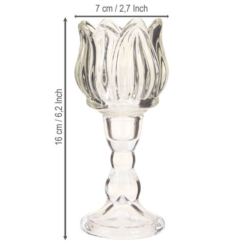 kohteita Kynttilänpidike tulppaanikynttilän lasi pohjalla kirkas Ø7cm K16cm 2kpl