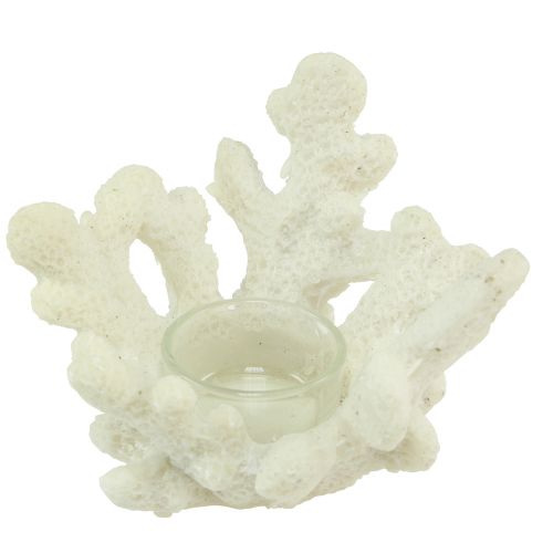 Kynttilänjalka koralli koristeellinen kerma merellinen Ø12cm K8cm