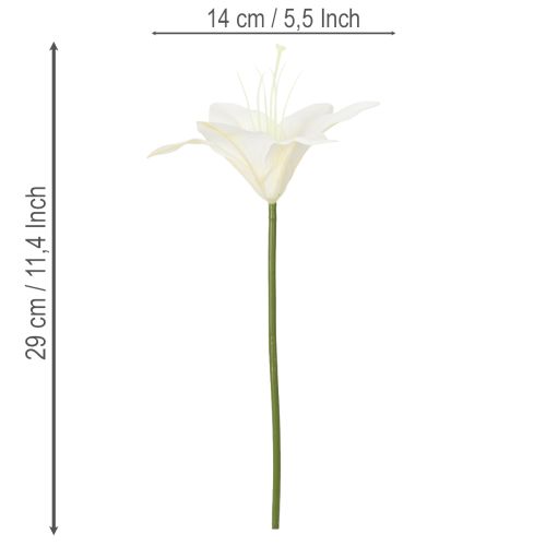 Keinotekoisia valkoisia tiikerililjoja maljakoihin ja asetelmiin, 29 cm 6 kpl:n kimppu | Floristik24.fi