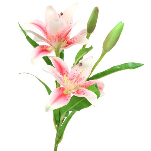Floristik24 Tiger Lily Pinkki, valkoinen 60cm