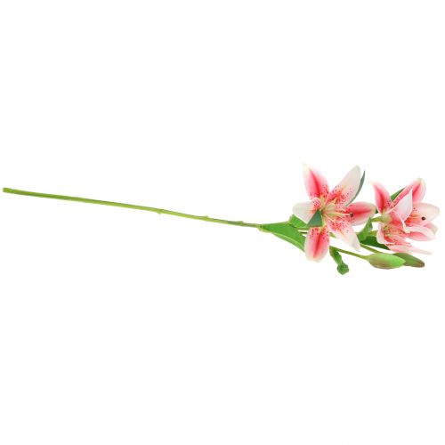 Floristik24 Tiger Lily Pinkki, valkoinen 60cm