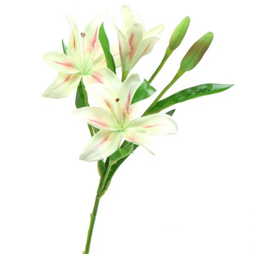 kohteita Tiger Lily Cream 60cm