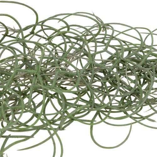 Floristik24 Tillandsia keinotekoinen harmaa 130cm