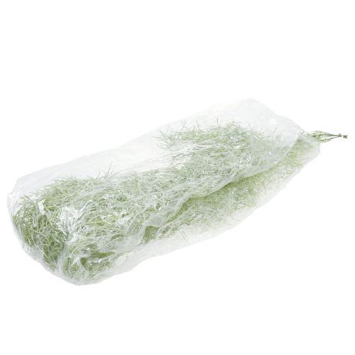 Floristik24 Tillandsia-ripustin vihreä 160cm