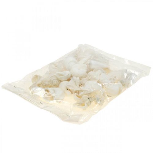Floristik24 Pöytäkoristelu merellinen, tyhjät etanankuoret valkoiset 4-5cm sekoitus 500g