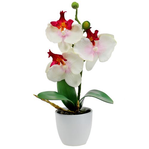 Floristik24 Pöydän koriste orkidea ruukussa Cream H29cm