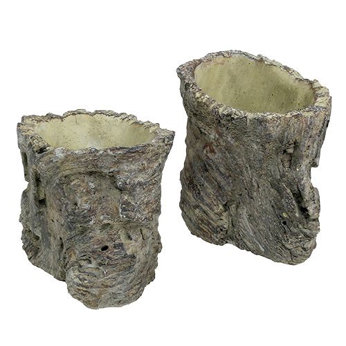 Floristik24 Ruukku puunrunkona Ø10,5cm H12cm 2kpl