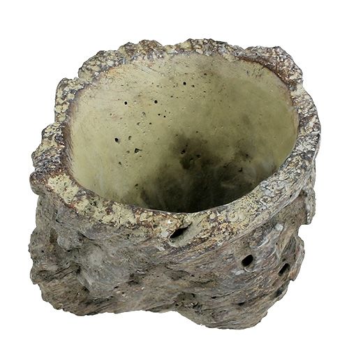 Floristik24 Ruukku puunrunkona Ø10,5cm H12cm 2kpl