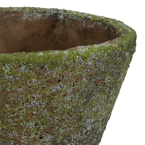 Floristik24 Istutusruukku Ø12cm K11cm 2kpl