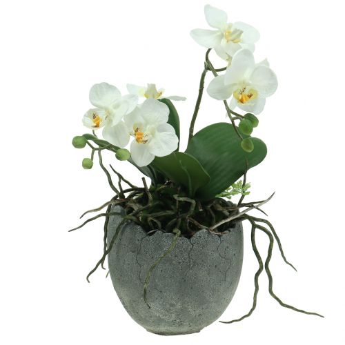 Floristik24 Betonikasvien ruukun munankuori Ø14,5cm 15cm 2kpl