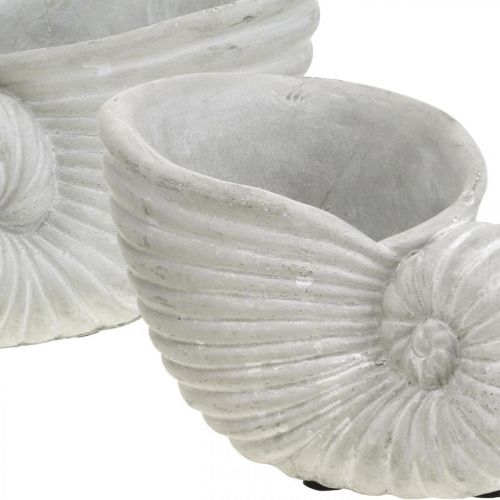 Floristik24 Kuoret istutukseen, merikoristelu, ruukku Nautilus betoni L15cm K9,5cm 2kpl