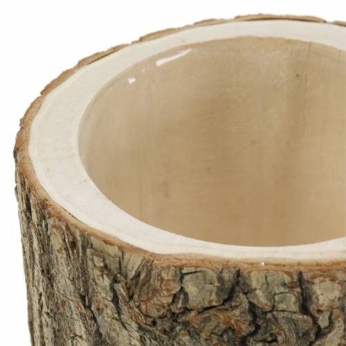 Floristik24 Istutusruukku jalavapuu Ø11-13cm K11cm