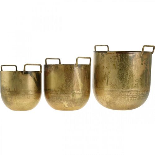 Floristik24 Antiikkisen ilmeen kukkaruukku metallikahvoilla H17 / 19,5 / 26cm, 3 kpl setti