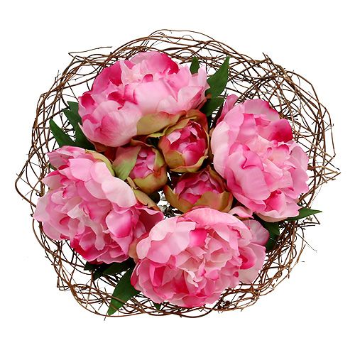 Floristik24 Suppiloholkki viiniköynnös Ø30cm luonnon 8kpl