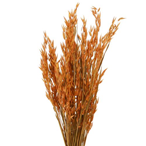 kohteita Dry Deco Oat Deco oranssina L64cm 70-75g 2kpl