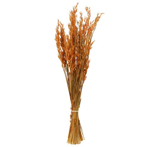 kohteita Dry Deco Oat Deco oranssina L64cm 70-75g 2kpl