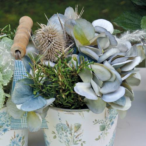 Floristik24 Kuivatut kukat Thistle White pesty 60cm 100g