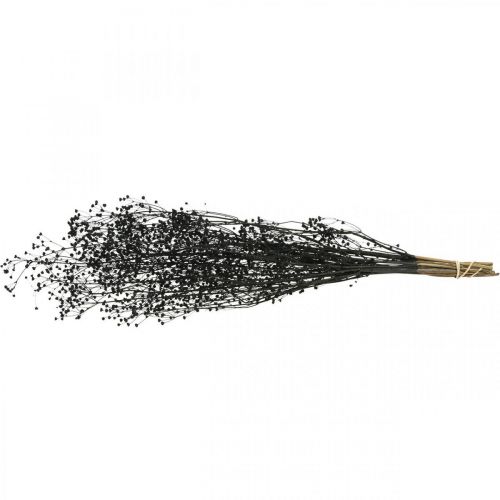 kohteita Kuivakukka Massasa Black Natural Decoration 50-55cm nippu 10 kpl