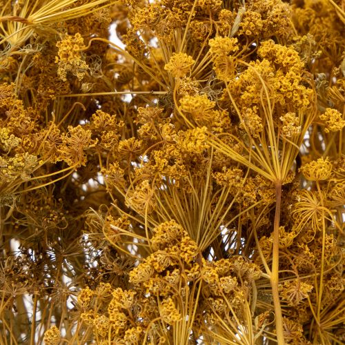 kohteita Kuivakukkakimppu herkillä kukilla romanttiseen vintage-koristeeseen 55 cm