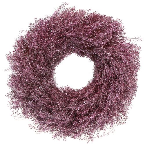 kohteita Kuivattu kukka seppele purppura metallinen seppele Lepidium Ø33cm
