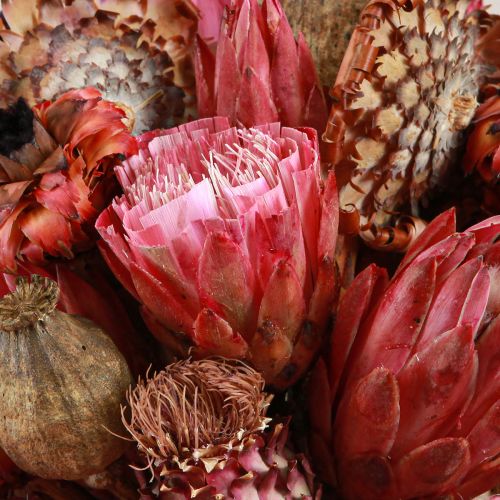 kohteita Kuivatut kukat sekoitus pinkki protea artisokka unikko 38cm 580g