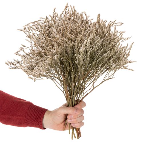 Kuivatut kukkakimppu rantalaventeli Statice nature 1kg | Floristik24.fi