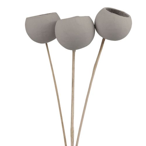 kohteita Kuivakukkia koristeelliset kellokupit varressa harmaa 37cm 3 kpl
