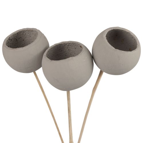 kohteita Kuivakukkia koristeelliset kellokupit varressa harmaa 37cm 3 kpl