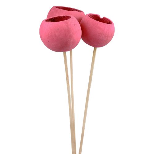 kohteita Kuivakukkia koristeelliset kellokupit varressa vaaleanpunainen 42cm 3 kpl