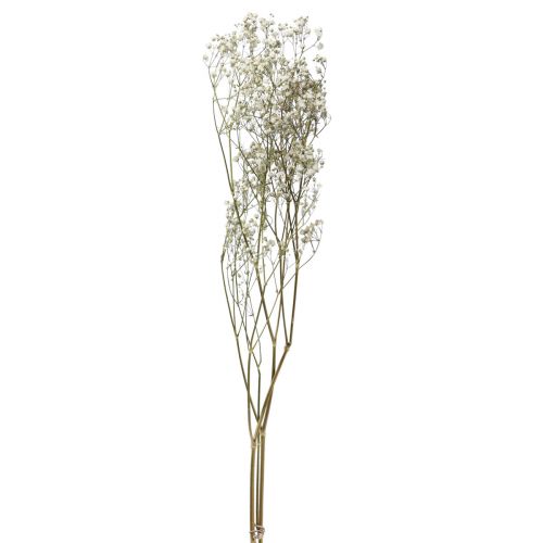 Kuivatut kukat Gypsophila Gypsophila White 58cm 7g