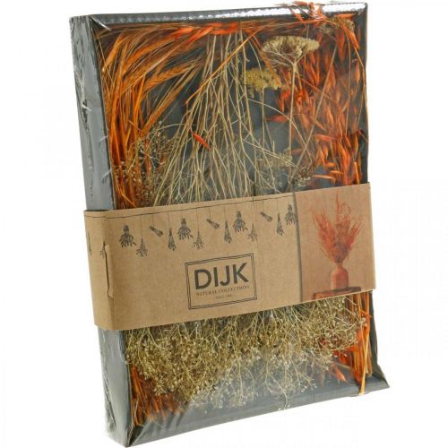 Floristik24 Kuivatut kukat Box Orange Dry Floristry Set