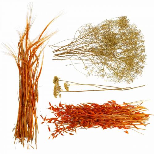 Floristik24 Kuivatut kukat Box Orange Dry Floristry Set