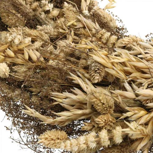 Floristik24 Koristeellinen seppele kuivatut kukat suuret viljat ja ruoho luonto Ø50cm