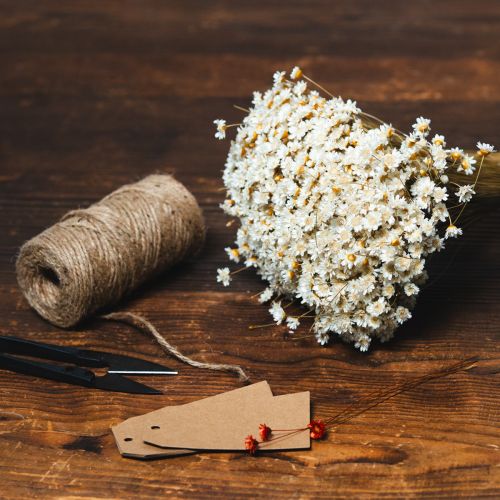 kohteita Kuivakukkakimppu, herkät kukat luonnonmukaiseen kodin sisustukseen, 44 cm