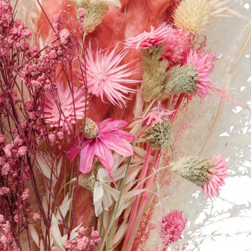 Floristik24 Kimppu kuivattuja kukkia vaaleanpunainen valkoinen phalaris masterwort 80cm 160g