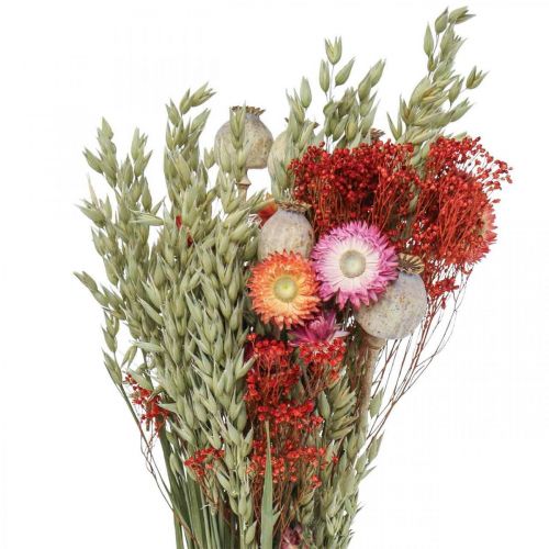 kohteita Kimppu kuivattuja kukkia Kimppu niittykukkia Punainen H50cm 150g