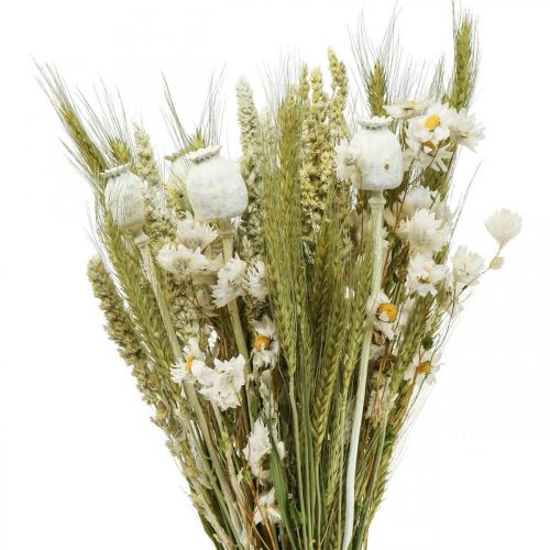 Floristik24 Kimppu kuivattuja kukkia olki kukkia vilja unikko kapseli kuiva ruoho 50cm