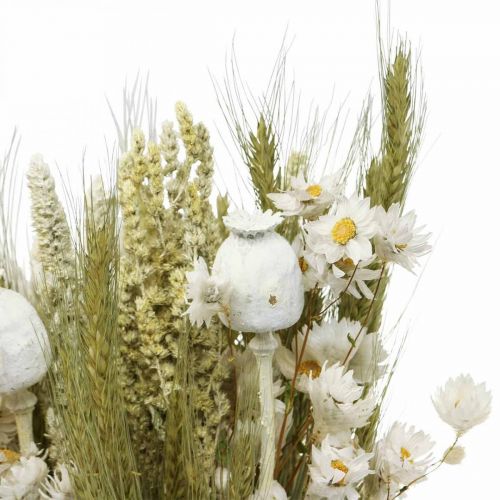 Floristik24 Kimppu kuivattuja kukkia olki kukkia vilja unikko kapseli kuiva ruoho 50cm