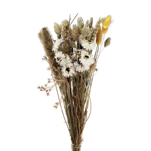 kohteita Kuivatut kukkakimppu olkikukat Phalaris valkoinen keltainen 30cm